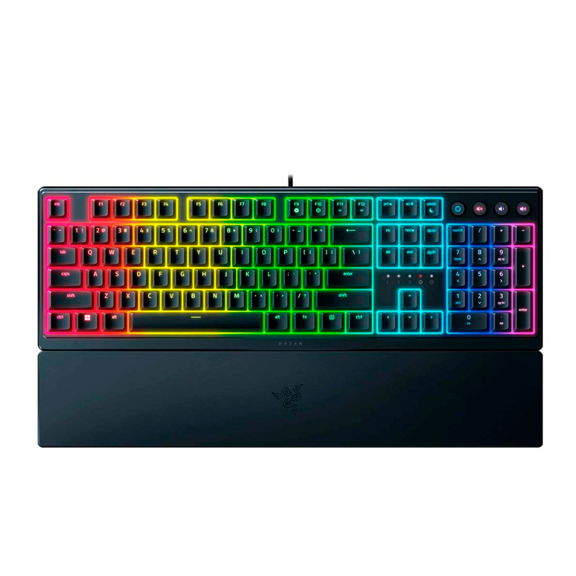 RAZER